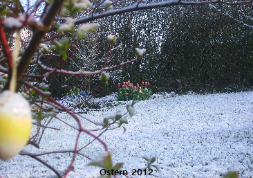 BILD0559